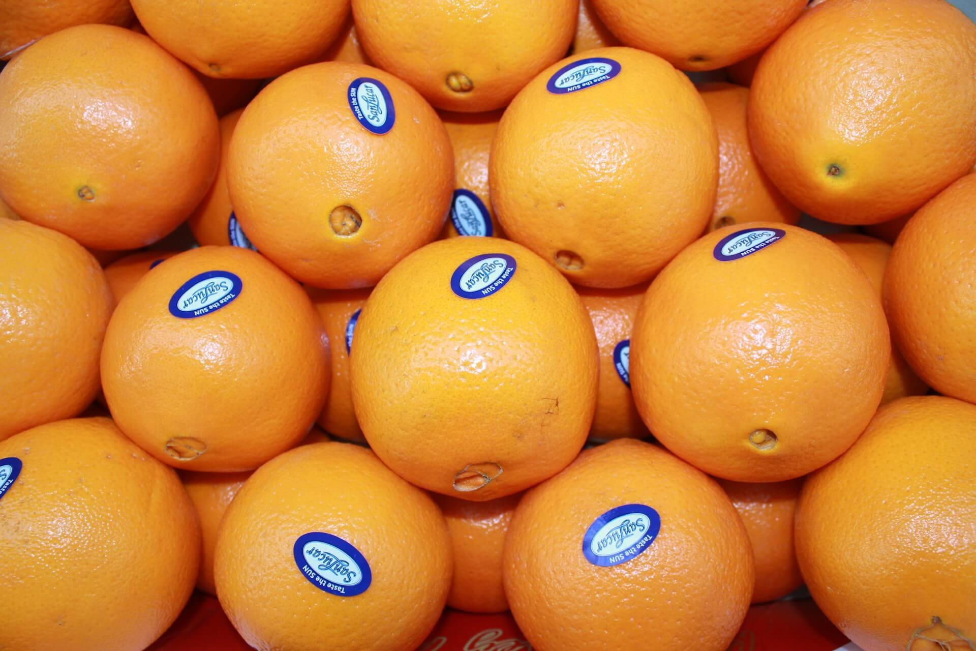 Beyond Taste: Unlocking the Secret Science and Culture of Culinary Flavour